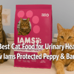 best cat food for urinary health